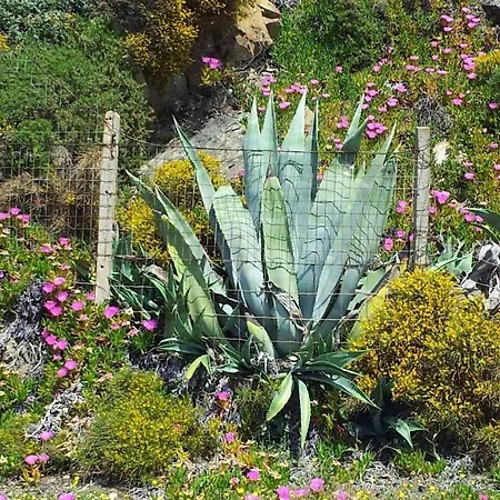 Lara Via Colombo 152 توري دي كورساري